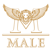 logo main